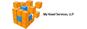 My Voxel Services, LLP